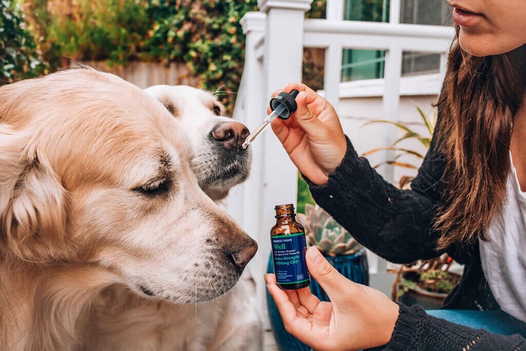 cbd benefits for dogs