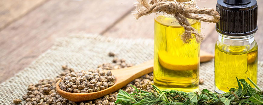 CBD Oil for Canine