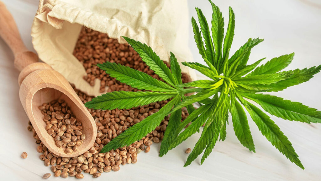 CBD Oil for dogs with joint pain