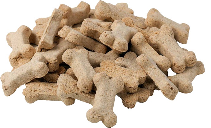 cbd dog treats